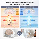 ماساژور جوانسازی صورت خانگی برند ANLAN مدل 10A-01